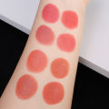 1Pcs 4 in 1 Lipstick Set Velvet Long Lasting Lipstick Woman Matte Peach Red Lip Tint Non-stick Cup Lip Gloss Makeup. 
