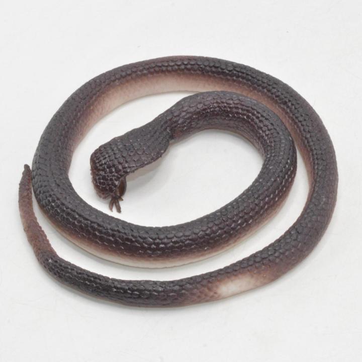 Khanaan Realistic Rubber Snack Toys