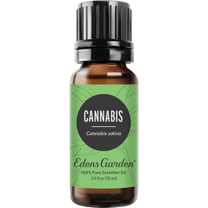 Cannabis Essential Oil, 100% Pure Therapeutic Grade (Undiluted Natural/Homeopathic Aromatherapy Scented Essential Oil Singles)