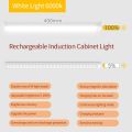 LED Human Body Cabinet Night Household Wardrobe Light USB Charging Indoor Wall Lighting Lights Stepless Dimming Smart Sensor Work Lamp. 