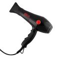 CHAOBA 2000 Watts Professional Hair Dryer (Black). 
