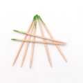 Techmanistan Mint Flavoured Toothpicks with Container, 400pcs Mint Toothpicks with Storage Box. 