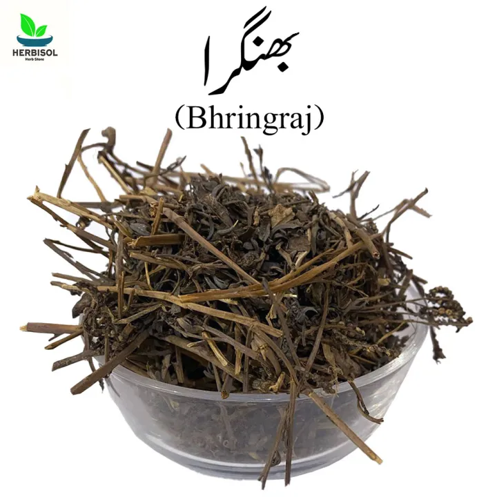 Bhringraj%20250gm%20%D8%A8%DA%BE%D9%86%DA%AF%D8%B1%DB%81%20-%20Daisy%20Dry%20Leaves%20-%20Bringraj%20/%20Black%20Bangra%20Siyah%20/%20Bhangra%20/%20Bhingraj%20250%20grams%20by%20Herbisol%20-%20Image%202