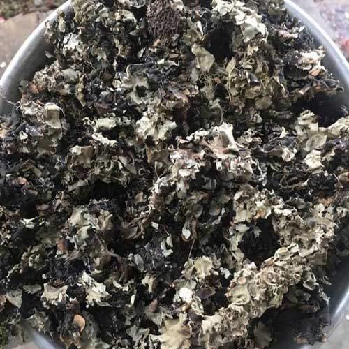 Dawn%20Lee%20Indian%20Stone%20Flower%20Spice%20(Patthar%20Phool,%20Dagad%20Phool,%20Kalpasi)%20(150%20Gm)%20-%20Image%205