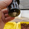 NANLIY- 100 Pack 1.77 Inch Net Cups Slotted Mesh Wide Lip Filter Plant Net Pot Bucket Basket for Hydroponics Aquaponics Orchids. 