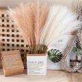 Artificial Flowers / Beige Purple Bouquet / Desktop Ornaments / Artificial Pampas Grass / Artificial Fluffy Reed / Wedding Garden Bedroom Decoration. 