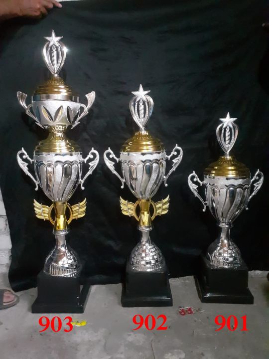 Trophy%20Best%20Cricket%20Trophy%20-%20Golden%20&%20Silver%20-%20Image%202