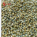 Bajra باجرہ | Premium Pearl Millet Seeds For all kind of Birds - 2 KG. Nutrient-rich feed suitable for a variety of birds including parrots, pigeons, finches, and other pet birds, High-energy millet seed promoting freshness and value for pet. 