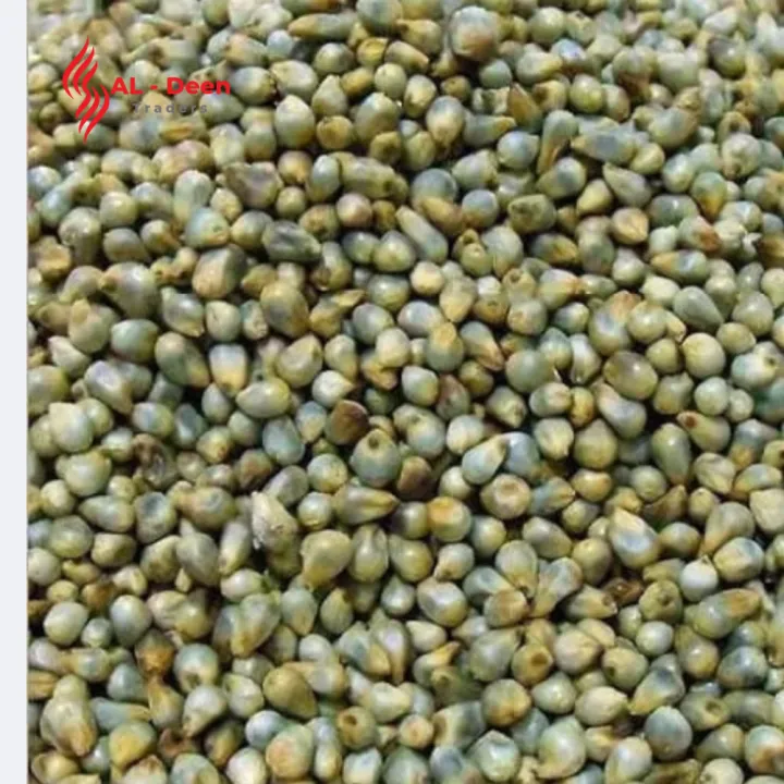 Bajra%20%D8%A8%D8%A7%D8%AC%D8%B1%DB%81%20%7C%20Premium%20Pearl%20Millet%20Seeds%20For%20all%20kind%20of%20Birds%20-%202%20KG.%20Nutrient-rich%20feed%20suitable%20for%20a%20variety%20of%20birds%20including%20parrots,%20pigeons,%20finches,%20and%20other%20pet%20birds,%20High-energy%20millet%20seed%20promoting%20freshness%20and%20value%20for%20pet%20-%20Image%202