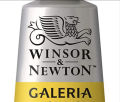 Winsor & Newton Galeria Professional Artists Quality Acrylic Paints 60 Ml All Shades. 