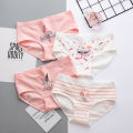Tingweiya New Product Internet Celebrity Flamingo Underwear Women Cotton Mid Waist Ladies Cotton Underwear Crotch Girl Underwear. 