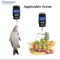 Electronic Portable Digital Hook Scale Hanging Scale Fishing Scale Luggage Scale Digital Pocket Scale Kitchen Scale Digital Weight Machine Digital Weight Scale Digital Weighing Scale Digital Weighing Machine Digital Mini Small Scale Weight Machine. 