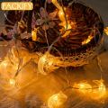 PACKIFY 20 Moon LED Fairy Lights Battery Operated - Led Lights for Room Decoration - String Garland Light for mirror. 