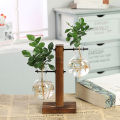 Hydroponic Vase-Vintage Desktop Plant Terrarium Planter Bulb Glass Vase- Water Planting Propagation Stations Home Decoration. 