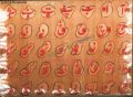 Urdu Haroof e Tahaji Wooden Blocks Board. 
