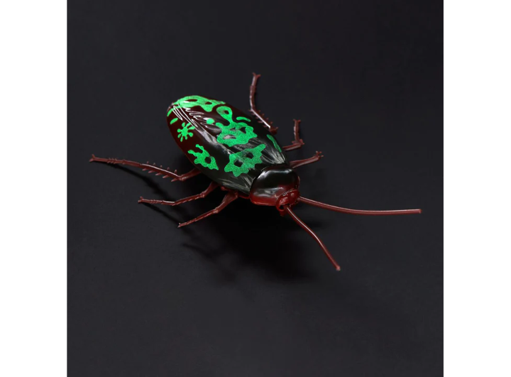 Robo%20Alive%20Crawling%20Cockroach%20-%20Image%205