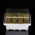 3pcs/set 12 Cell Seed Starter Kit Starting Plant Propagation Tray Dome Gardening Sunlight Super Store. 