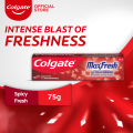 Colgate MaxFresh Spicy Fresh Toothpaste 75g. 