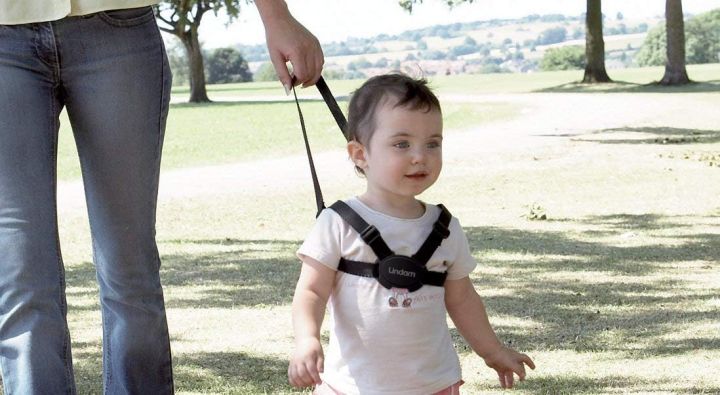 Lindam Harness and Reins