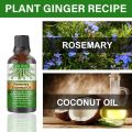Rosemary Essential Oil Hair Growth Oils Pure Natural 30ML Hair Essential Oils For Nourish Shiny Hair Healthy Hair Care. 