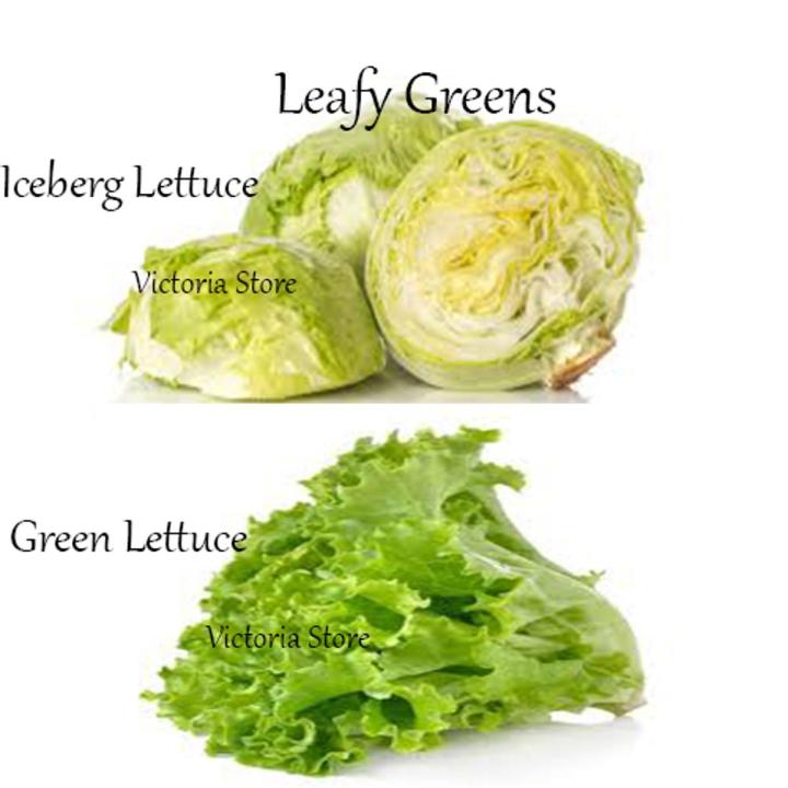 Leafy Greens Packs of 2 Salad Seeds - Iceberg Lettuce and Green Lettuce for Kitchen Gardening
