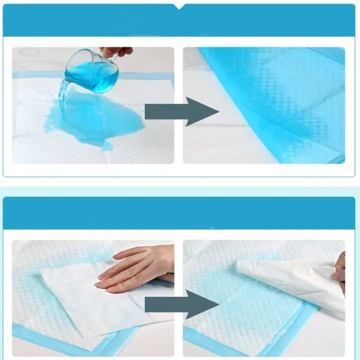 Underpad%20-%2040%20cm%20x%2060%20cm%20-%20Dignity%20Sheet%20Small%20Size%2020%20pcs%20Healthcare%20Dignity%20Sheets%20for%20adult%20and%20Diapering%20&%20Potty%20-%20SAP%20made%20in%20china%20-%20Image%203
