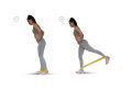 Elastic Loop Resistance Bands Fabric Resistance Bands Set – Loop  Bands for Women and Men Exercise Bands for ; Durable and Resistant Workout Bands Home or Gym Exercise Gear High Performance Mini Cloth Bands,. 