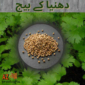 coriander seeds (Dhania k beej)(دھنیا کے بیج)Desi/Germinated/Best Quality/Fast growing/Excellent Germination/High Quality/Healthy Vegetable Seeds/Vegetable/Home/Kitchen/Gardening seeds/beej/Vegetables Seeds Packet