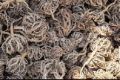 Booti /Nabi Herbal roots. 