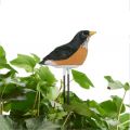 Bird Bonsai Soil Moisture Meter Plant Water Tester Watering Alarm Reminder for Flowerpot. 
