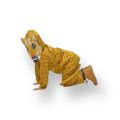 Tiger Costume for Kids - New Arrival for Children School Functions. 