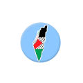 4.4cm Palestine flag badge Palestinian button pin glossy film pin Palestine button pin Palestinian badge pin for. 