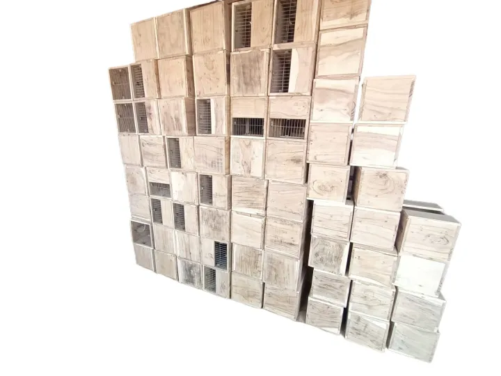 Kashmiri%20Raw%20Parrots%20Breading%20Box%20(Kikar%20Wood)%20-%20Image%208