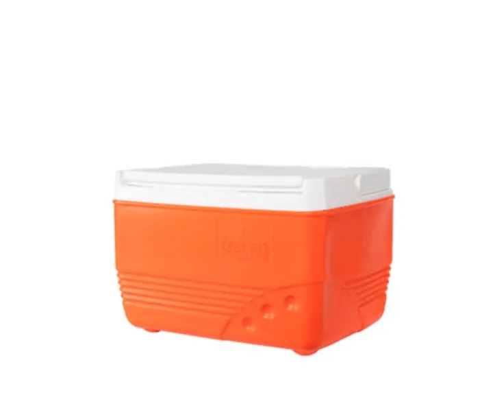 Coll%20Ice%20Box%20Small%20cooler,%20Size%205.5%20Liters%20-%20Image%202