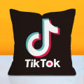Factory Direct Red and Black YouTube Logo Pillowcase Company Logo Advertising Pillow Cushion Wholesale Dropshipping. 