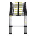 Aluminum Ladder Extendable Step Ladder 2.9 Meter (10 Feet) 10 steps Telescopic. 