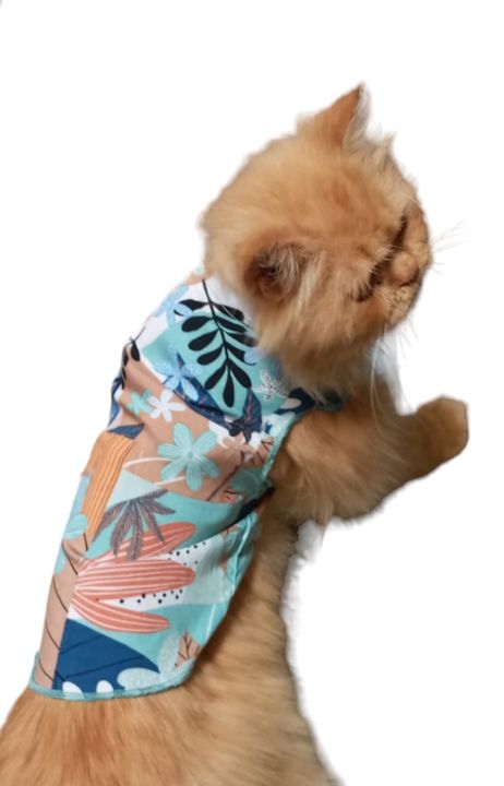 Cat%20Beach%20Blue%20Shirt%20-%20Small%20-%20Image%202