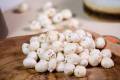 Lotus Seeds Whole (Phool Makhana) – 190 Grams | Premium Superfood Snack | Rich in Protein & Antioxidants | Elysian Herbs. 