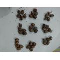 45 Castor oil seeds 100percent germinate for grow caster plant Eranda ( Ricinus communis ) castor beans arand tree use for many purpose. 