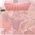 LED Grow Light 100W Indoor Growing Lamp Full Spectrum , Commercial Planting ,for Hydroponics Greenhouse Veg Seed Flower Fruit UP Day Day. 