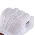 Gloves Virus Protection  - Anti Slip - Mobile Phone Touch Screen Friendly. 