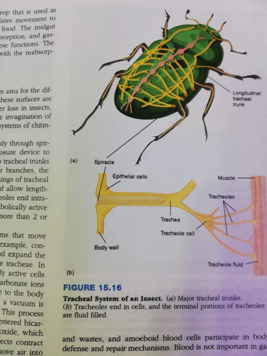 Zoology%2010th%20Edition%20by%20Stephen%20Miller%20and%20John%20Harley%20-%20Image%209