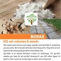 Borax Powder 100% Pure |Whitening & Cleaning Power for Clothes| |Slime for Kids||Ants Killer||Floor Cleaner||Drain Cleaner| (380 gm, White). 