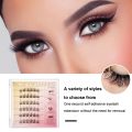 Glue-free False Eyelashes Easy Application Reusable False Eyelashes Natural Look Glue-free Self-adhesive Women's Accessories for Southeast Asian Buyers Natural Looking False Eyelashes. 