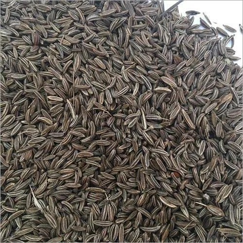 Black%20Cumin%20Seed%20Kala%20Zeera%20100g%20-%20Image%203