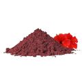 Hibiscus powder for face | Hibiscus Flower Powder for Hair 100 Grams Hibiscus powder for face | Hibiscus Flower Powder for Hair 100 Grams Hibiscus powder for face | Hibiscus Flower Powder for Hair 100 Grams. 