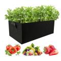 Large Rectangular Fabric Grow Bag / Plant Bed / Kiyari Rectangle Grow Bag / Plant Bag for Kitchen Gardening 12 Gallons / 22x11x11 inches by Victoria Store. 