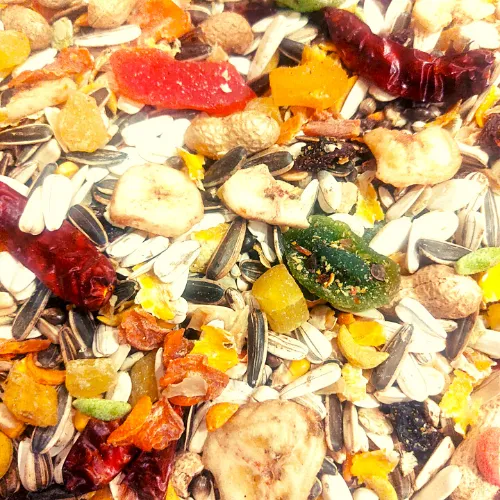 Parrot%20Food%20-%20Fruits%20Mix%20Food%20For%20African%20Grey,%20Paharri,%20Ring%20Neck,%20Macaw%20and%20Cockatoo%20Parrots%20-%20Imported%20Parrot%20Food%20-%20Image%202