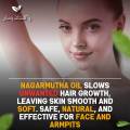 Nagarmotha Oil Pakistan Pansars Cyperus Rotundus Oil Premium Quality Body Hair Growth Slowing and Reduction. 