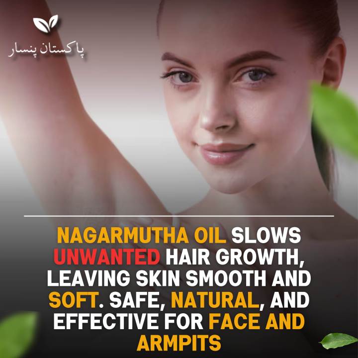 Nagarmotha%20Oil%20Pakistan%20Pansars%20Cyperus%20Rotundus%20Oil%20Premium%20Quality%20Body%20Hair%20Growth%20Slowing%20and%20Reduction%20-%20Hair%20Removal%20Care%20oil%20-%20Image%206